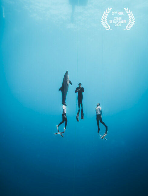 Ne-m'oublie-pas_affiche